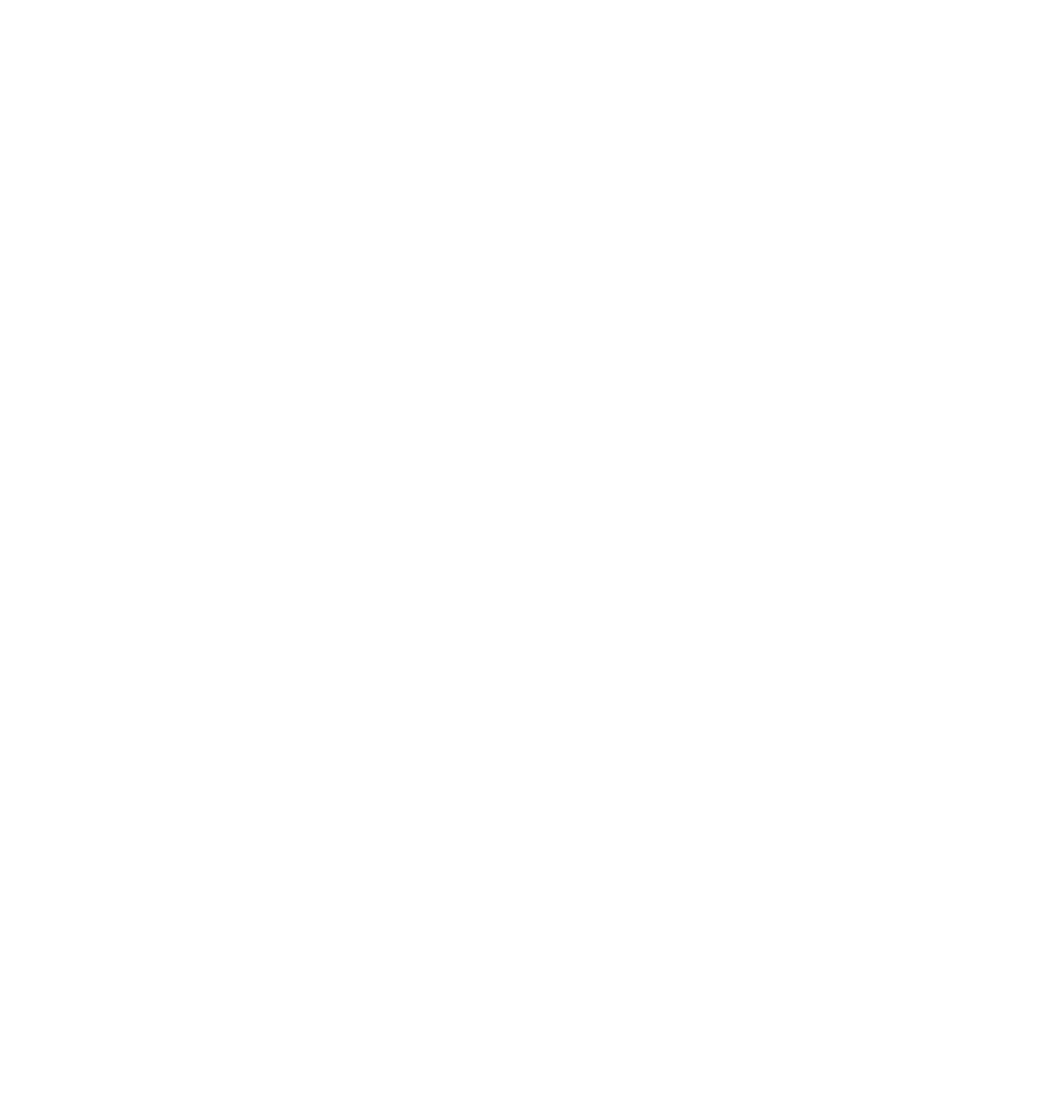 Logo O Patagonia